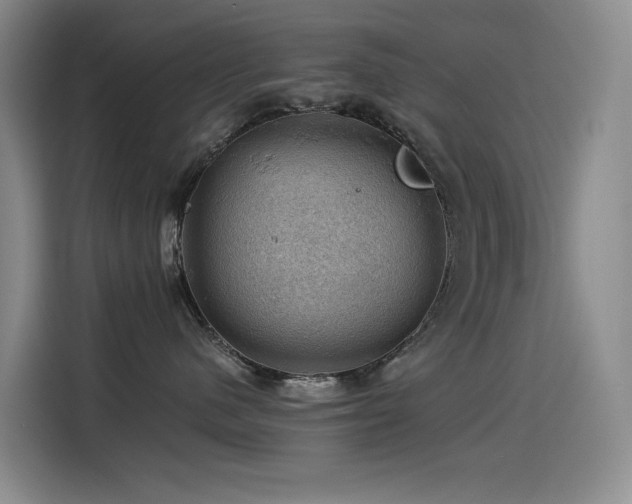 X0000114530480200910191325