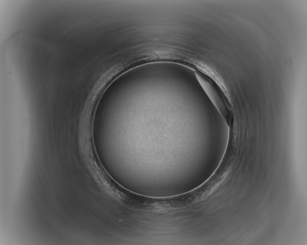 X0000114530481200910191325