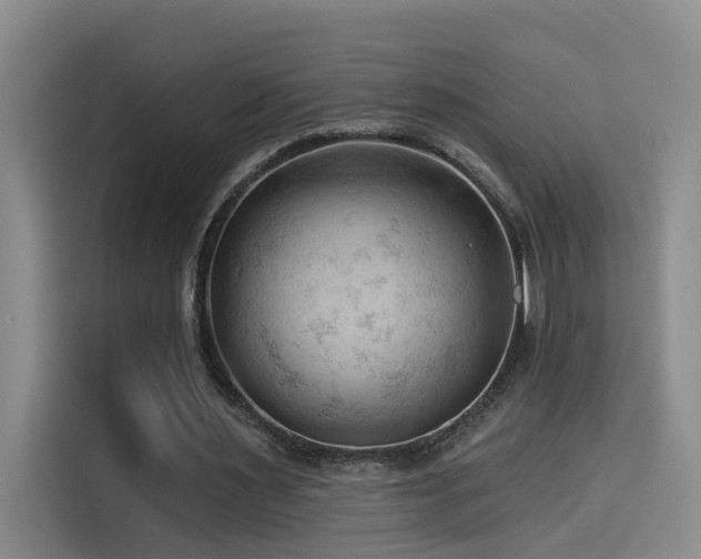 X0000114530483200910191325