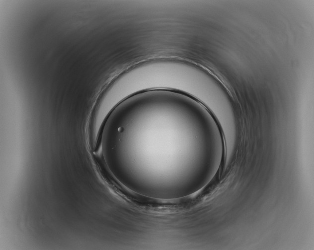 X0000114530485200910191325