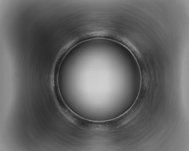 X0000114530486200910191325