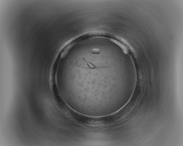 X0000114530487200910191325