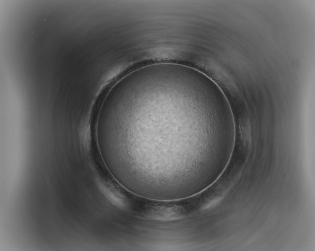 X0000114530488200910191325