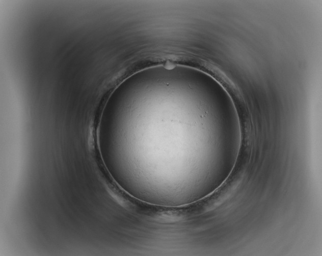 X0000114530489200910191325