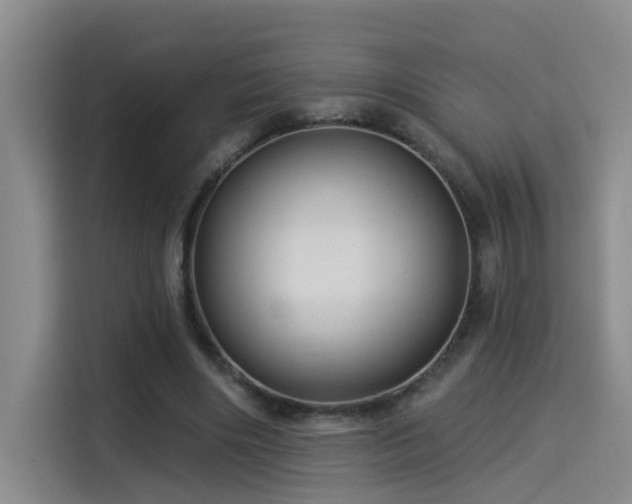 X0000114530490200910191325