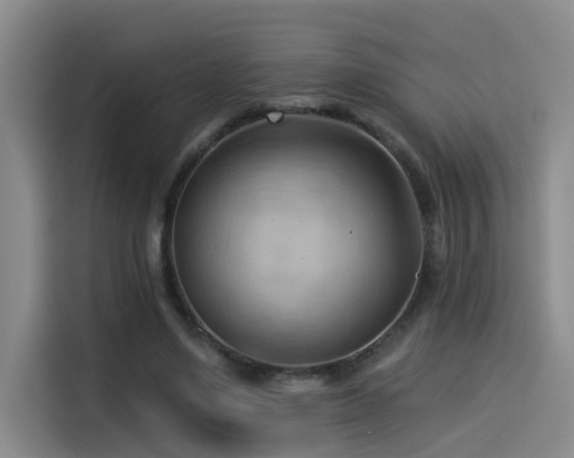 X0000114530491200910191325