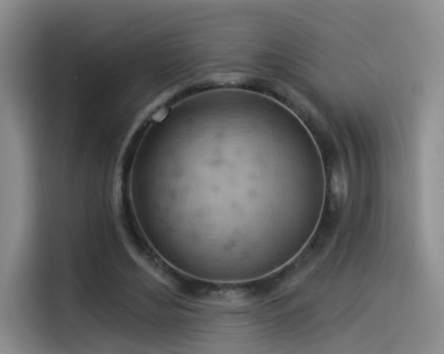 X0000114530492200910191325