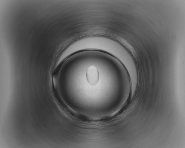 X0000114530493200910191325