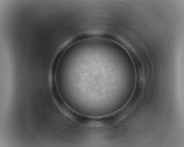 X0000114530494200910191325
