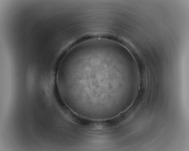 X0000114530495200910191325