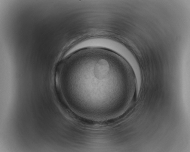 X0000114530496200910191325