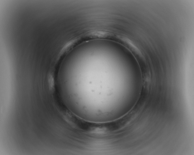 X0000114530500200910191324