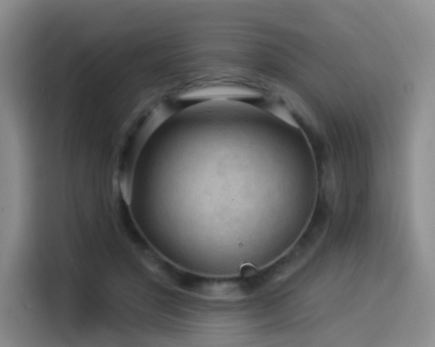 X0000114530501200910191324