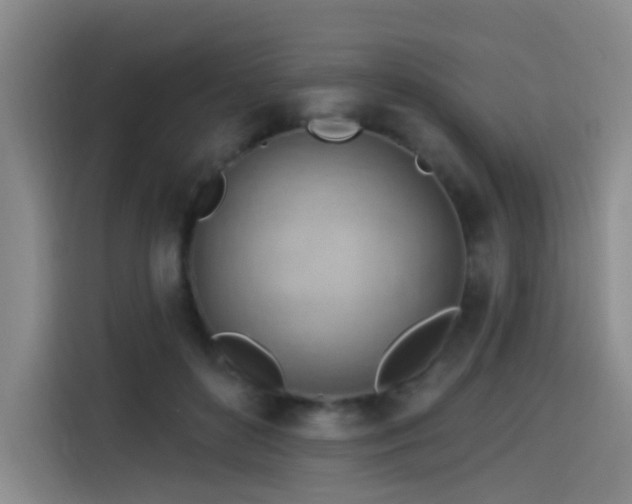 X0000114530504200910191324