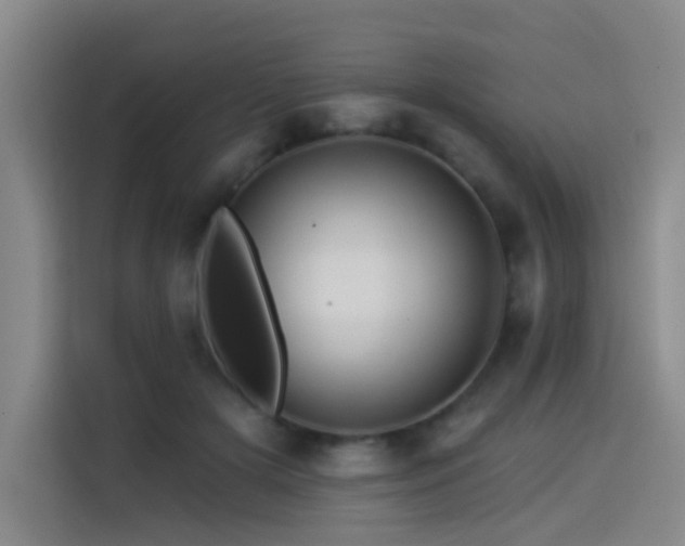 X0000114530505200910191324
