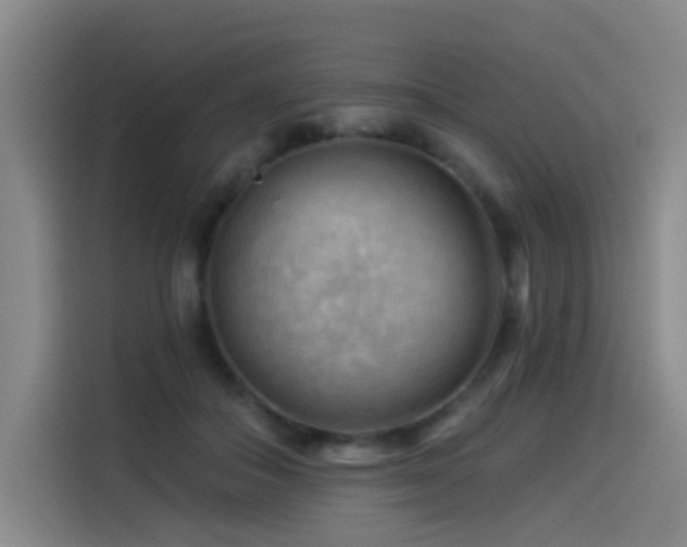 X0000114530506200910191324