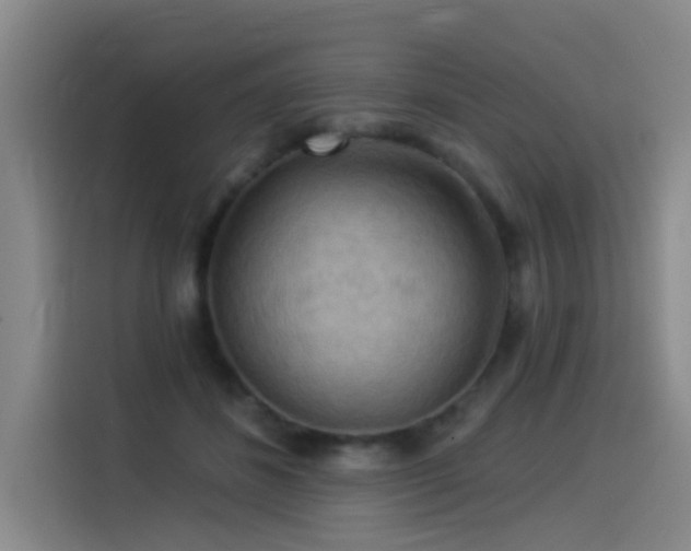 X0000114530508200910191324