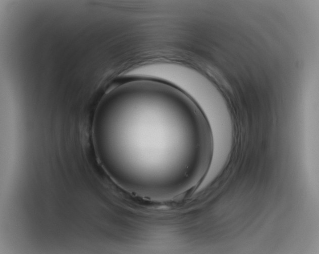 X0000114530509200910191324