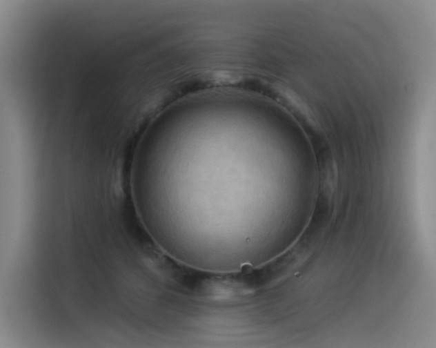 X0000114530512200910191324