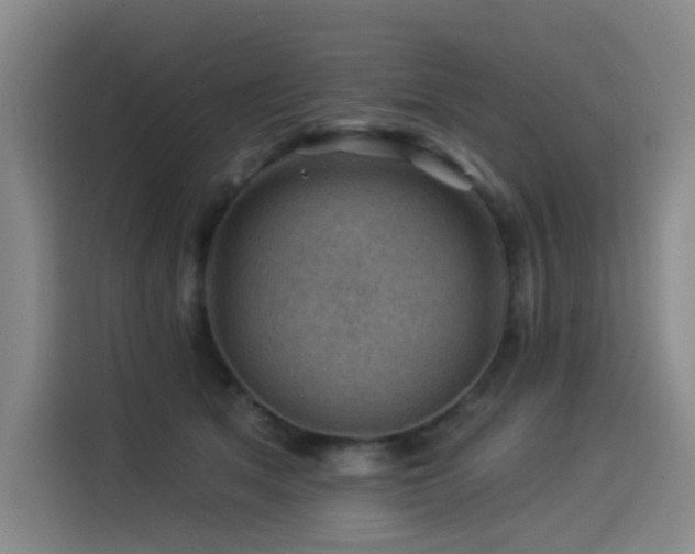 X0000114530513200910191324