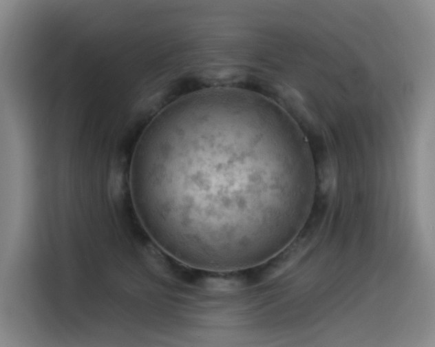 X0000114530515200910191324