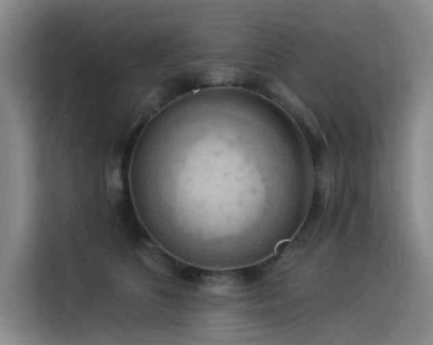 X0000114530516200910191324