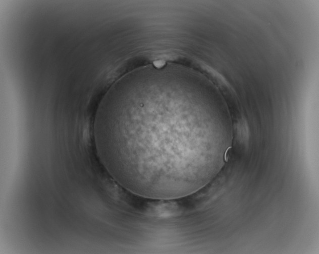 X0000114530517200910191324