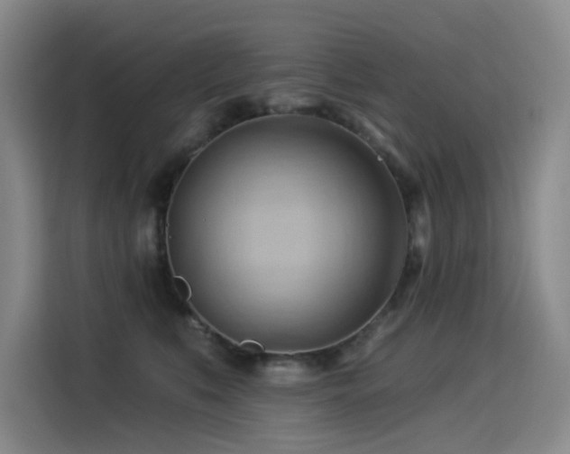 X0000114530519200910191324