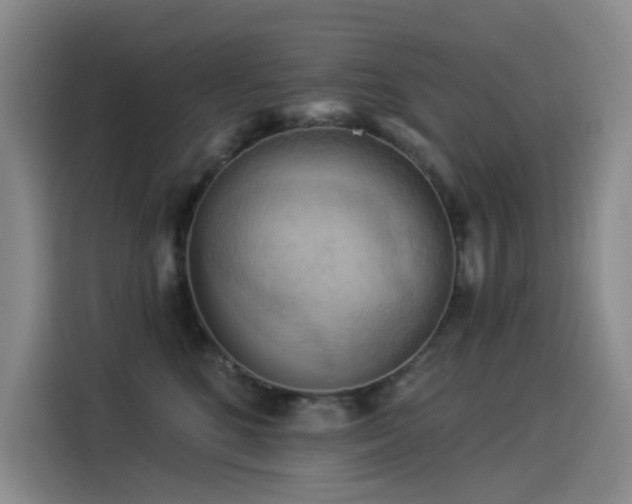 X0000114530520200910191324