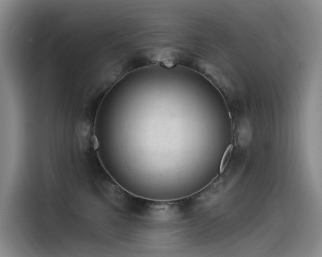 X0000114530521200910191324