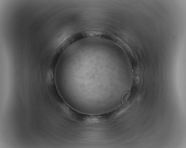 X0000114530523200910191324