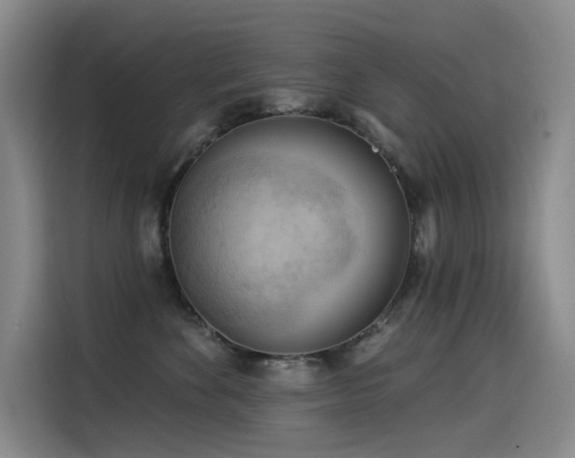 X0000114530524200910191324