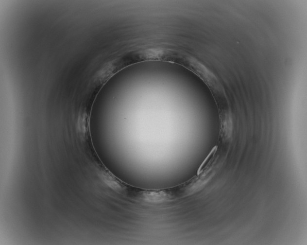 X0000114530525200910191324
