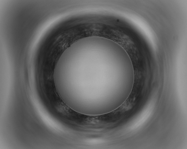 X0000114530526200910191324