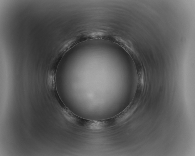X0000114530527200910191324