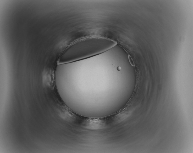 X0000114530528200910191324