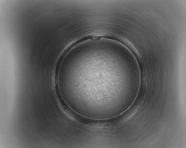 X0000114530530200910191324