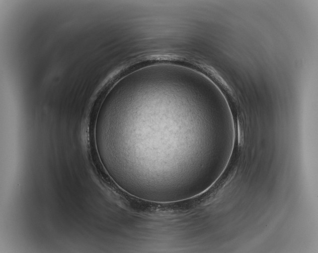 X0000114530531200910191324