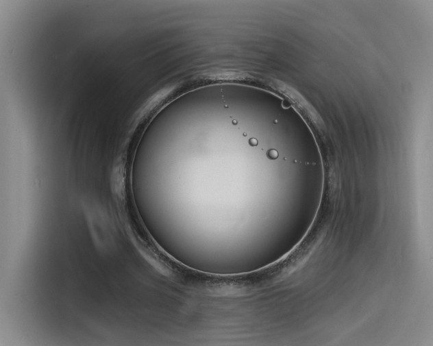 X0000114530533200910191324