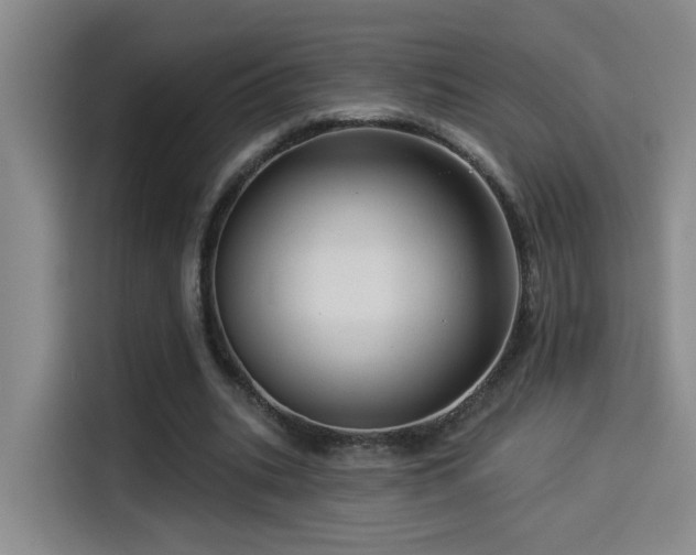 X0000114530535200910191324