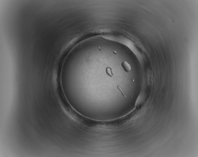 X0000114530538200910191324