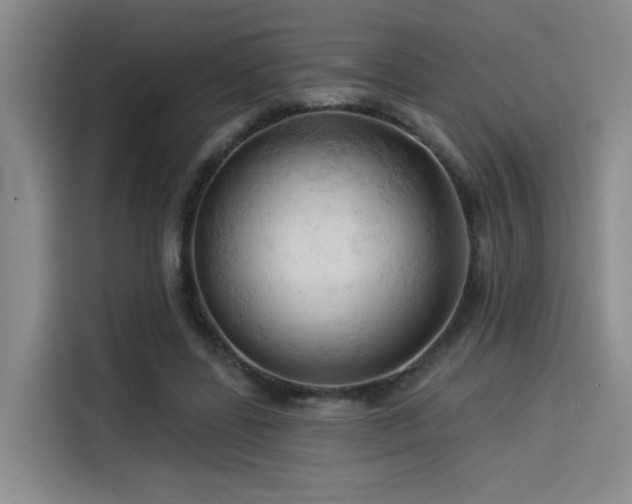 X0000114530539200910191324