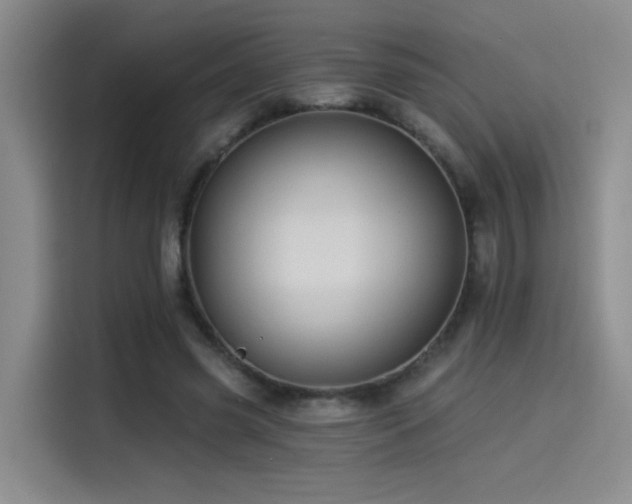 X0000114530541200910191324