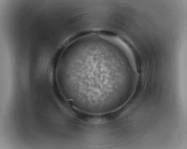 X0000114530542200910191324