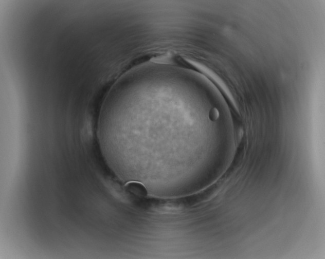 X0000114530546200910191324