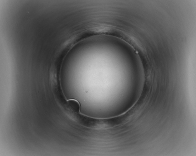 X0000114530547200910191324