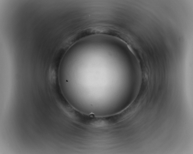X0000114530551200910191324