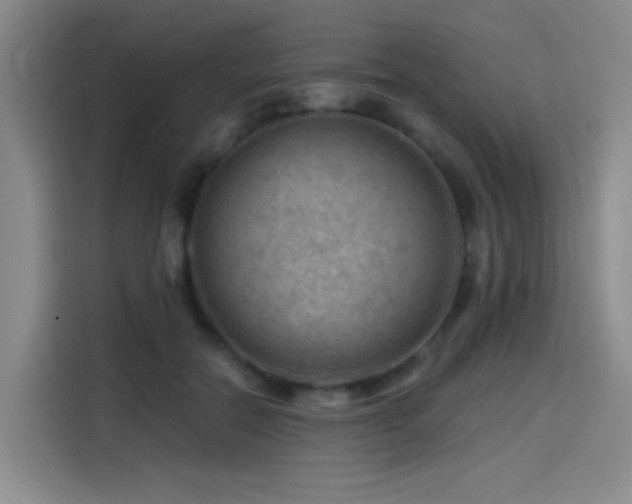 X0000114530554200910191324