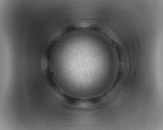 X0000114530555200910191324