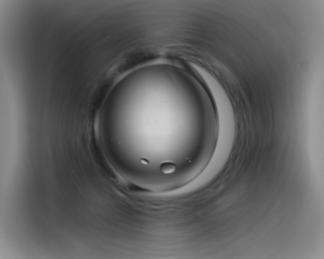 X0000114530558200910191324